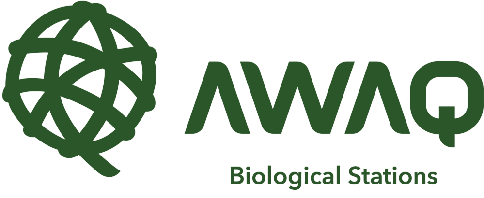 AWAQ AWAQ